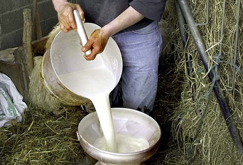 lapte-fermier